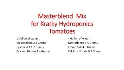 masterblend tomatoes kratky