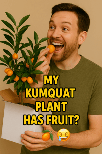 Kumquat